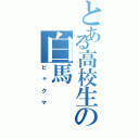 とある高校生の白馬（ビャクマ）