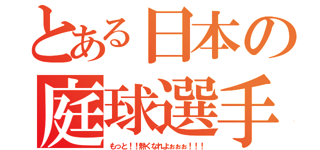 とある日本の庭球選手（もっと！！熱くなれよぉぉぉ！！！）