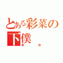 とある彩菜の下僕（隼弥）