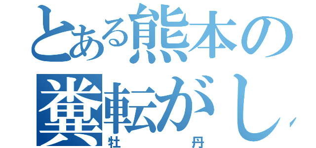 とある熊本の糞転がし（牡丹）