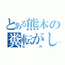 とある熊本の糞転がし（牡丹）