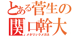 とある菅生の関口幹大（メタリックメガネ）