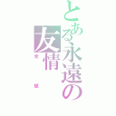 とある永遠の友情Ⅱ（全斌）