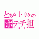 とあるトリケのポテチ担（小瀧担）