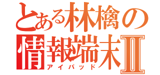 とある林檎の情報端末Ⅱ（アイパッド）