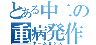 とある中二の重病発作（ネームセンス）