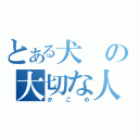 とある犬の大切な人（かごめ）