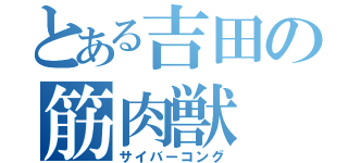 とある吉田の筋肉獣（サイバーコング）