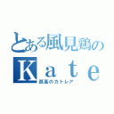 とある風見鶏のＫａｔｅｇｏｒｉｅ５（孤高のカトレア）