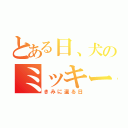 とある日、犬のミッキー（きみに還る日）