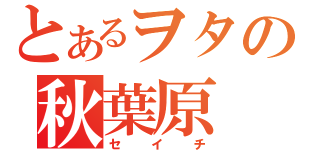 とあるヲタの秋葉原（セイチ）