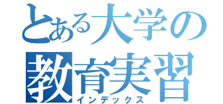 とある大学の教育実習（インデックス）