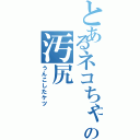 とあるネコちゃんの汚尻（うんこしたケツ）