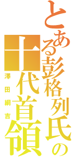 とある彭格列氏の十代首領（澤田綱吉）