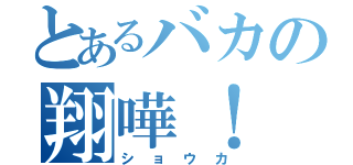 とあるバカの翔嘩！（ショウカ）