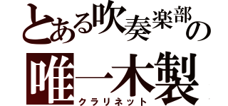 とある吹奏楽部の唯一木製（クラリネット）