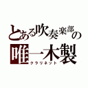 とある吹奏楽部の唯一木製（クラリネット）