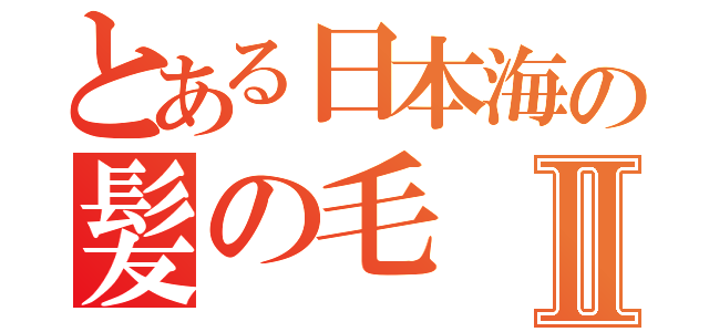 とある日本海の髪の毛Ⅱ（）