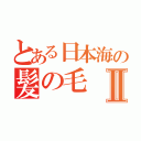 とある日本海の髪の毛Ⅱ（）