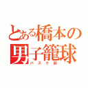 とある橋本の男子籠球（バスケ部）