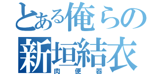 とある俺らの新垣結衣（肉便器）