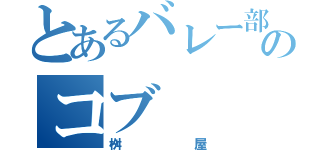 とあるバレー部のコブ（桝屋）