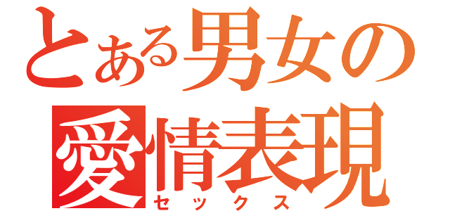 とある男女の愛情表現（セックス）