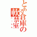 とある倉庫の軟禁室Ⅱ（ハーレム）