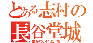 とある志村の長谷堂城（亀かわいいよ、亀）