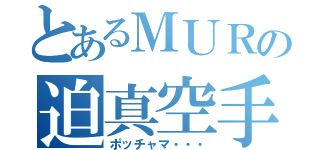 とあるＭＵＲの迫真空手部（ポッチャマ・・・）