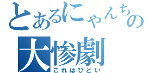 とあるにゃんちゅうの大惨劇（これはひどい）