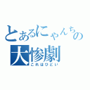 とあるにゃんちゅうの大惨劇（これはひどい）