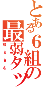 とある６組の最弱タッグ（鯖＆きむ）