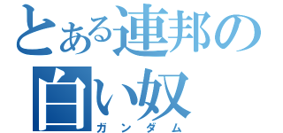 とある連邦の白い奴（ガンダム）