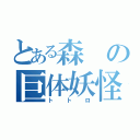 とある森の巨体妖怪（トトロ）