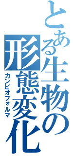 とある生物の形態変化Ⅱ（カンピオフォルマ）