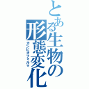 とある生物の形態変化Ⅱ（カンピオフォルマ）