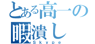 とある高一の暇潰し（Ｓｋｙｐｅ）