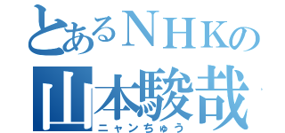 とあるＮＨＫの山本駿哉（ニャンちゅう）