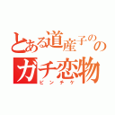 とある道産子ののガチ恋物語（ピンチケ）