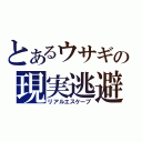 とあるウサギの現実逃避（リアルエスケープ）