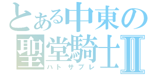 とある中東の聖堂騎士Ⅱ（ハトサブレ）