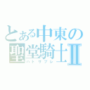 とある中東の聖堂騎士Ⅱ（ハトサブレ）