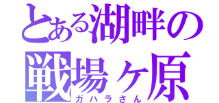 とある湖畔の戦場ヶ原（ガハラさん）