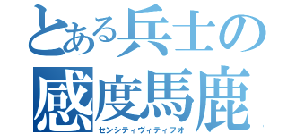 とある兵士の感度馬鹿（センシティヴィティフオ）