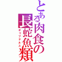 とある肉食の長蛇魚類（ポリプテルス）