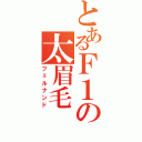 とあるＦ１の太眉毛（フェルナンド）