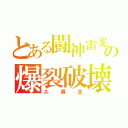 とある闘神雷光の爆裂破壊（大　　暴　　走）