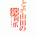 とある由田の鋭利爪（ネイルガン）