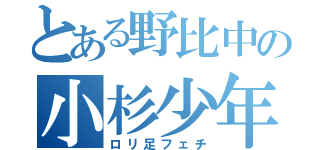 とある野比中の小杉少年 （ロリ足フェチ）